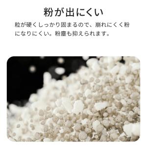 (OFT) (4袋セット) PIDAN キャッ...の詳細画像4