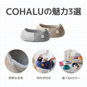 (特価セール中) [コハル 猫 ベッド フェル...の詳細画像3
