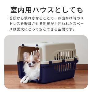 (7月のPICK UP ITEM) [ペットケ...の詳細画像4