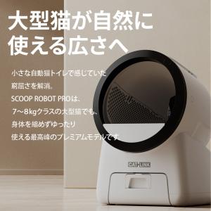 (予約販売10%OFF 6月下順頃入荷!!) ...の詳細画像1