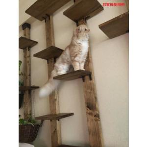 BRIWAX塗装済み パイン集成材 厚み15m...の詳細画像4