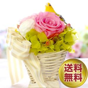プリザーブドフラワー ギフト 誕生日 結婚式 電報 小鳥 鳥 お返し プレゼント 花 ブリザーブドフラワー お祝い 送料無料 小鳥のバスケット Ipfa108 プリザーブドフラワー Ipfa 通販 Yahoo ショッピング