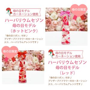 ハーバリウム カーネーション プレゼント ギフ...の詳細画像1