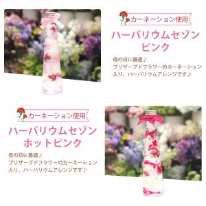 ハーバリウム カーネーション プレゼント ギフ...の詳細画像2
