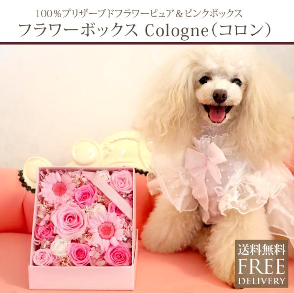 プリザーブドフラワー 退職祝い ギフト 結婚式 結婚祝い プレゼント ボックスアレンジ お花 女性 ...