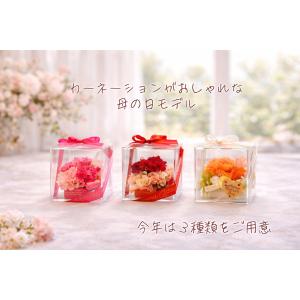 カーネーション入り 母の日 プリザーブドフラワ...の詳細画像1