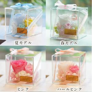 カーネーション入り プリザーブドフラワー 誕生...の詳細画像1