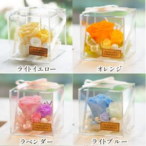 カーネーション入り プリザーブドフラワー 誕生...の詳細画像2