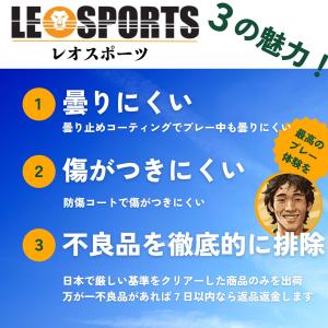 LEO SPORTS アイスホッケー バイザー...の詳細画像2