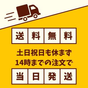 LEO SPORTS アイスホッケー バイザー...の詳細画像5