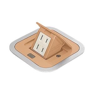 パナソニック DU1300F 住宅用F型アップコン角型 2コ口 ナチュラルバーチ 2P 15A 12...