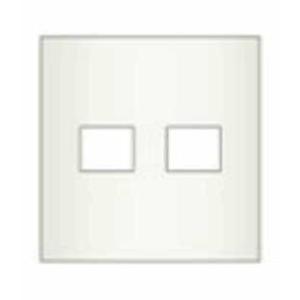 神保電器 NKP-1UF-2-PW 2連用プレート  JIMBO