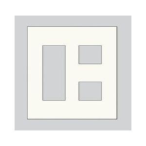 神保電器 NKP-3+2UF-PW 2連用プレート  JIMBO