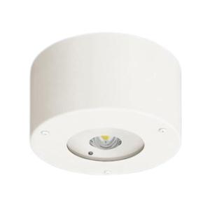 パナソニック NNFB84105 天井直付型　LED（昼白色）　非常用照明器具　電源別置型・非常用L...