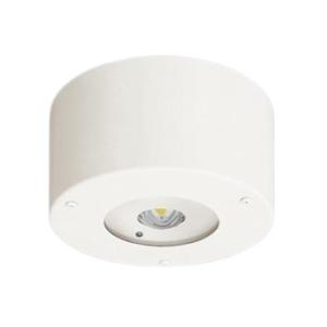 【受注品】パナソニック NNFB87109 天井直付型　LED（昼白色）　非常用照明器具　電源別置型...