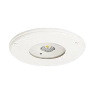 【受注品】パナソニック NNF87819 クリーンルーム向け　天井埋込型　LED（昼白色）電源別置型...