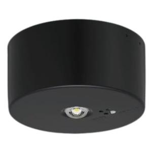 Panasonic（パナソニック） FK91110 C級用LEDランプ カセット式