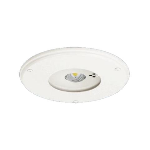 【受注品】パナソニック NNFB91915C 天井埋込型　LED（昼白色）　非常用照明器具　30分間...