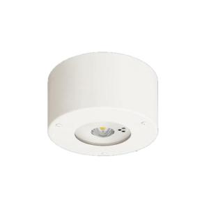 パナソニック NNFB93106C 天井直付型　LED（昼白色）　非常用照明器具　30分間タイプ・L...