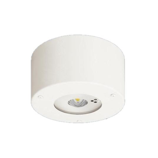 パナソニック NNFB93107C 天井直付型　LED（昼白色）　非常用照明器具　30分間タイプ・L...