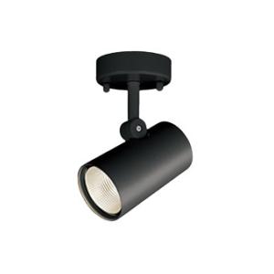 Panasonic（パナソニック） XTN1001B 配線ダクト取付型 スポットライト