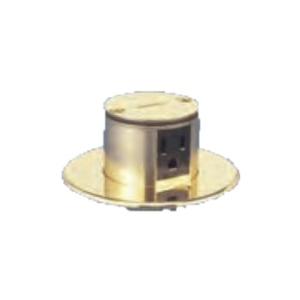 寺田電機 TFB50113　 上下動 P=66.7 ゴールド 接地2P15A125V×2