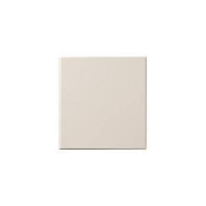 パナソニック WT8092F コスモシリーズワイド21 カバープレート(2連用)(取付枠付)(ベージ...