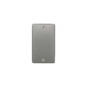 パナソニック WTA6291 アドバンスシリーズ 新金属カバープレート 1連用 (取付枠付)