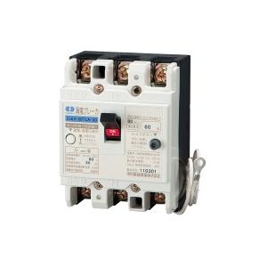 U6301EC6030V テンパール工業 漏電遮断器 単3中性線欠相保護付 GBU-63