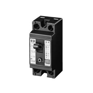 日東工業 漏電ブレーカー GP32CX 2P 20A F15（GP32CX2P20AF15）代引