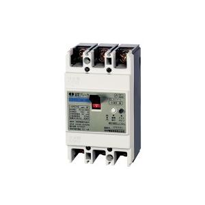 日東　3P100A漏電ブレーカー　GE103CA 3P100AF100 日東工業 GE103CA 3P 100A F30 漏電ブレーカ 協約形 ge103ca3p100af30