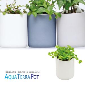 観葉植物 入れ物 花 ガーデニング の商品一覧 通販 Yahoo ショッピング