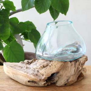 流木 フラワーベース 花瓶 H25×W33×D25cm ガラスベース glass planter/flower vase｜ipogabbeh
