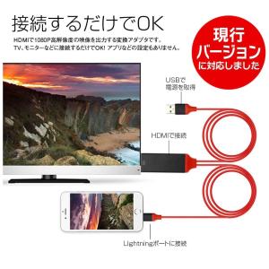 HDMIケーブル ドンクル アプリ設定不要 i...の詳細画像5