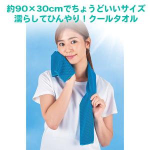 夏ギフト 販促品 60組「涼感特選ギフトセット...の詳細画像4