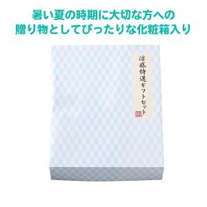 夏ギフト 販促品 60組「涼感特選ギフトセット...の詳細画像5