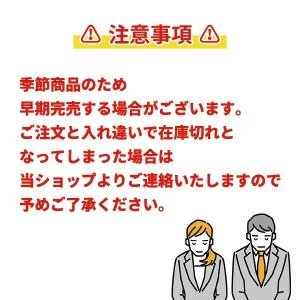 携帯扇風機 ノベルティ 96個「5WAYスクエ...の詳細画像5
