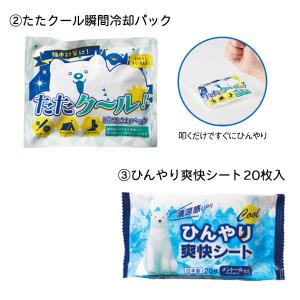 販促品 ギフトボックス 5点セット×36組 ま...の詳細画像3