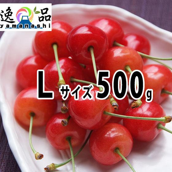 ヤモト農園の高級サクランボ Ｌサイズ 500g 6月1-25日頃お届け 佐藤錦 紅秀峰 特秀 贈答用...