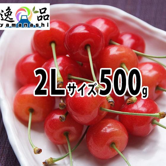 ヤモト農園の高級サクランボ ２Ｌサイズ 500g 6月1-25日頃お届け 佐藤錦 紅秀峰 特秀 贈答...