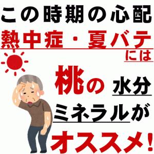 ★桃EX 特大9個 ●山梨の高級桃●大玉●糖度...の詳細画像1