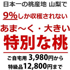 ★桃EX 特大9個 ●山梨の高級桃●大玉●糖度...の詳細画像3