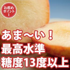 ★桃EX 特大9個 ●山梨の高級桃●大玉●糖度...の詳細画像4
