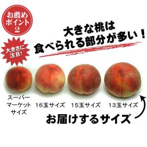 ★桃EX 特大9個 ●山梨の高級桃●大玉●糖度...の詳細画像5
