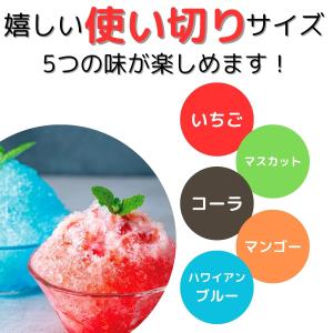 ハニー かき氷シロップ 使い切り 5種アソート...の詳細画像1