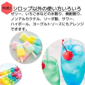 ハニー かき氷シロップ 使い切り 5種アソート...の詳細画像3