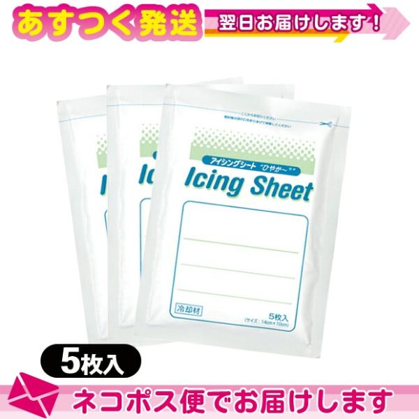 冷却材 大石膏盛堂 アイシングシートS(14x10cm) 5枚入り x3袋(合計15枚)+レビューで...