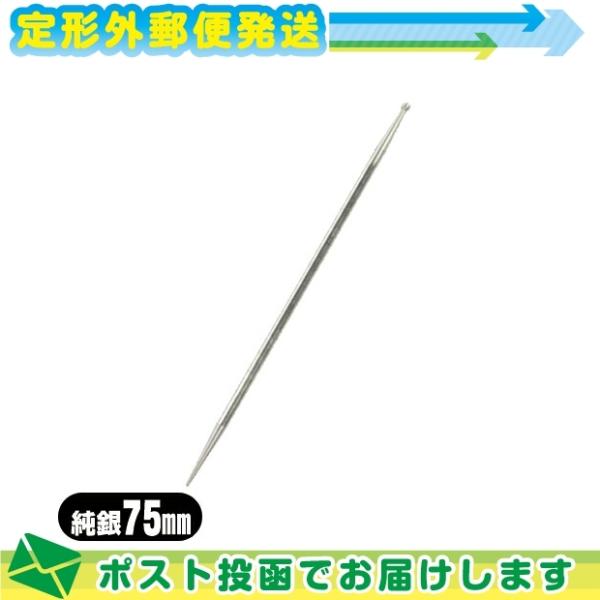 小里式 てい鍼 純銀 75mm 7.5cm ていしん テイ鍼 テイ針 てい針 錠鍼 錠針 接触鍼 前...