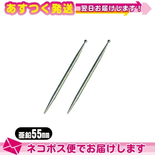 小里式 てい鍼 亜鉛 55mm x2本 5.5cm ていしん テイ鍼 テイ針 てい針 錠鍼 錠針 接...