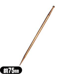 ざん鍼(ラッパ型) 銀 100mm O48-500 爆買 : 豊富な品揃 一歩 365日